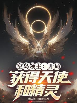 空岛领主开局获得天使和精灵笔趣