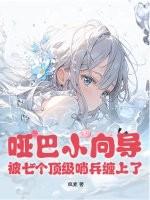 哑巴向导在哪个软件