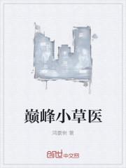 巅峰小草医TXT百度