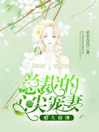 婚久情深慕少宠妻有瘾全文免费阅读