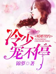 暖婚契爱老婆宠入怀绛舒