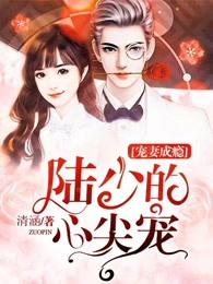 宠妻成瘾陆少的心尖宠无删减