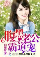闪婚甜妻腹黑老公霸道宠完整文档