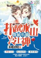 爆萌小仙扑倒冰山冷上神作者